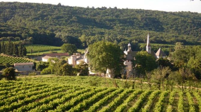 Le Prieure D'Orniols Hotel Goudargues Esterno foto